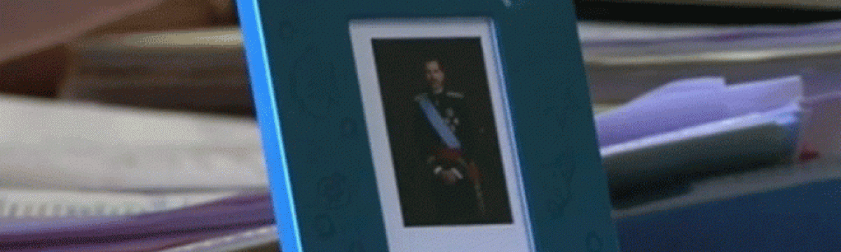 Fotografía del rey Felipe VI propuesta por la CUP en el pleno que aprobó la reducción del retrato del rey. / LA SEXTA